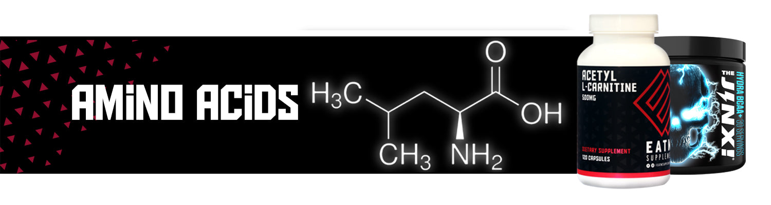 Amino Acids & Recovery