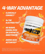 Load image into Gallery viewer, PVL PROH2O Electrolyte Mix | EatMe Supplements