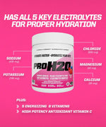 Load image into Gallery viewer, PVL PROH2O Electrolyte Mix | EatMe Supplements