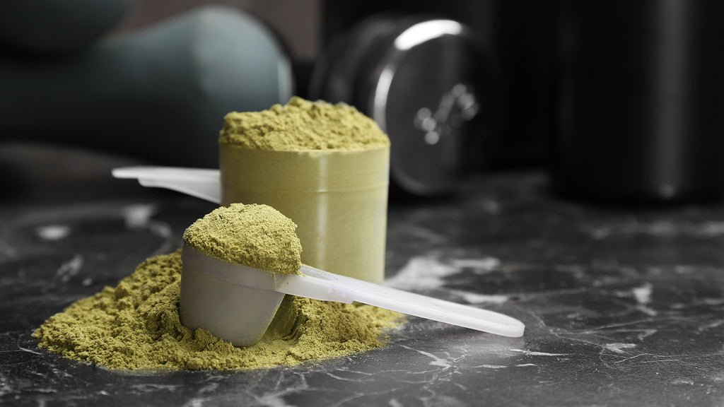 Benefits Of Plant-Based Protein Powder In NZ