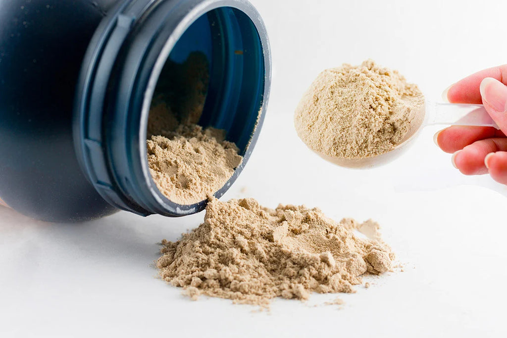 How To Choose The Best Protein Powder
