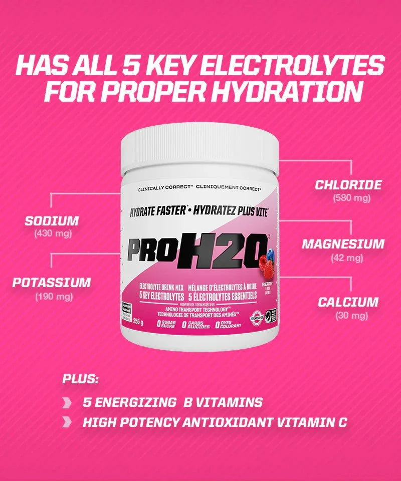 PVL PROH2O Electrolyte Mix | EatMe Supplements